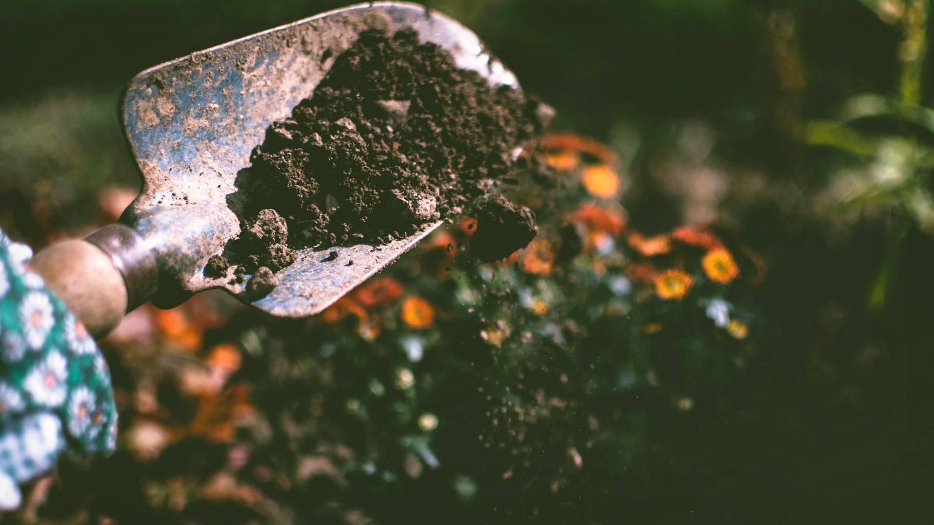 Luxe tuinaanleg met zwembad en strak terras door erkend hoveniersbedrijf in Het Gooi